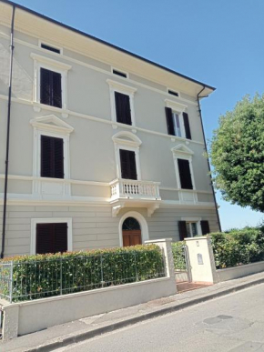 Il Pettirosso